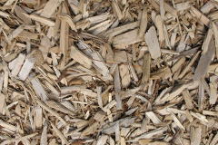 biomass boilers Mariansleigh